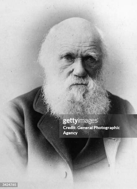 779 Charles Darwin Evolution Stock Photos, High-Res Pictures, and ...