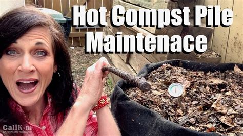 Maintaining A Hot Compost Pile 3 Keys To Success How To Compost 2 Youtube