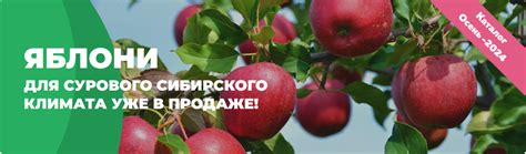 Интернет-магазин саженцев, питомник Омский Садовод - официальный сайт