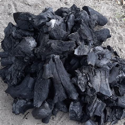 Burning Hard Wood Charcoal Lumps At Rs Bag Wood Charcoal In