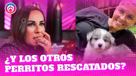 Consuelo Duval Se Va Contra Federica Quijano Por Adoptar Otro Perro