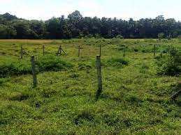 Farm Land For Sale In Vadakkencherry Palakkad Buy Sell Agricultural