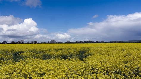 Land For Events Sheepcote Farm