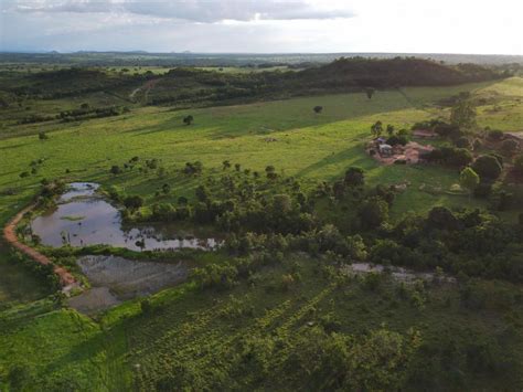 Fazenda A Venda Em Mato Grosso Fazendas Mato Grosso