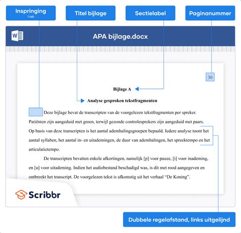 Een Apa Stijl Bijlage Maken Format And Voorbeelden