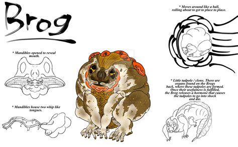 brog  frog toad kaiju  kaijudevin  deviantart
