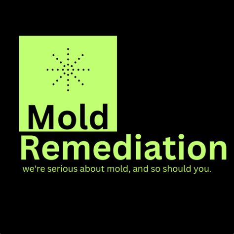 Expert Mold Removal Services In Dubai Your Trusted Mold Remediation