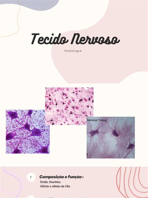 Sistema Nervoso Pdf Nervo Neurônio