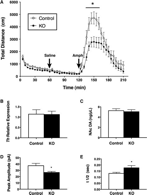 Leptin Action Via Neurotensin Neurons Controls Orexin The Mesolimbic