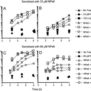 Morphological Changes After Irradiation Of NPe6 Sensitized Cultures