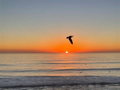 Beautiful Carlsbad Sunset: Photo Of The Day | Carlsbad, CA Patch