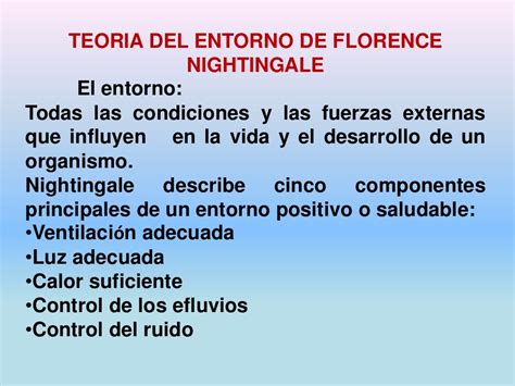 Descubre La Teoría De Nightingale La Clave Para Una Enfermería De