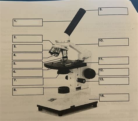 Microscope Parts Flashcards Quizlet