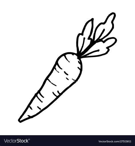 Cartoon Carrots Black And White