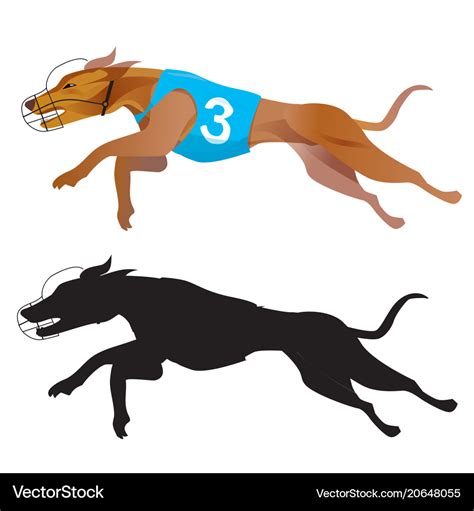 Greyhound dog racing Royalty Free Vector Image