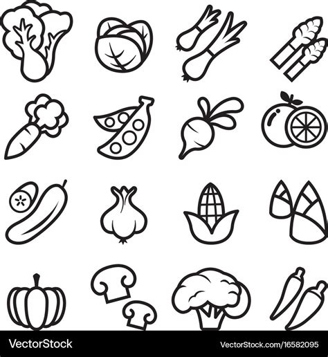 Vegetable Icon Royalty Free Vector Image Vectorstock