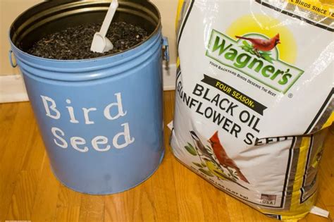 DIY Decorative Bird Seed Storage