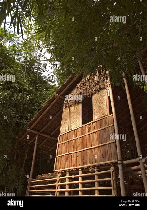 Bamboo Structure Eden Project Cornwall Uk Stock Photo Alamy