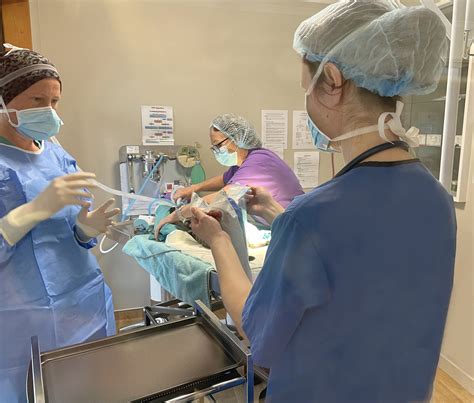 Woodend Vet Clinic — Rangiora Vet Centre