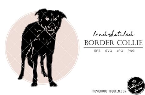 Border Collie Sketch Graphic by thesilhouettequeenshop · Creative Fabrica