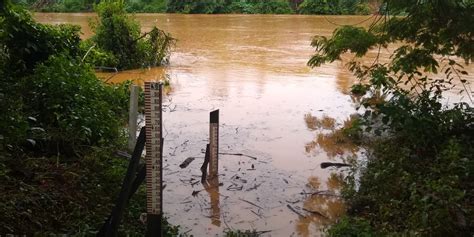 N Vel Do Rio Pomba Baixa Para Al Vio Da Popula O De Cataguases