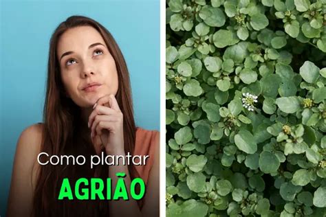 Como Plantar Agrião Guia para Cultivar em sua Horta