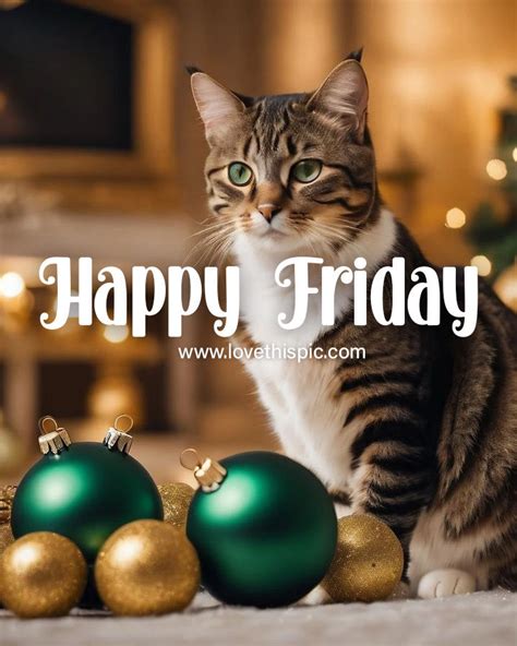 Cat With Ornaments - Happy Friday Pictures, Photos, and Images for ...