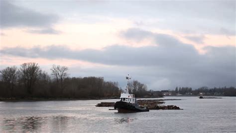 Towing Log Boom Fraser River A Tug Boat Tows Log Booms Up The Fraser