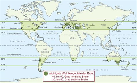 Wine Statistics Wein Plus Lexicon