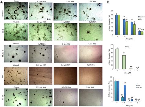 Effect Of JOA On The Colony Formation Ability In Kasumi 1 KG 1