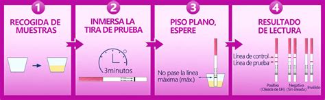 Pruebas De Ovulaci N Miu Ml Tiras De Prueba De Ovulaci N Tests