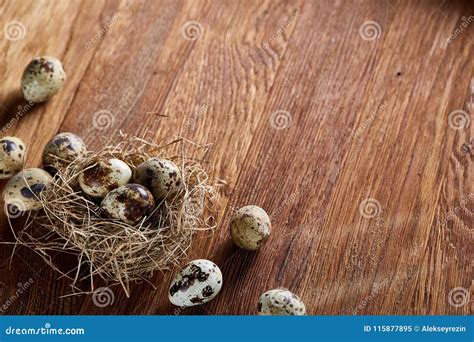 Conceptual Still Life With Quail Eggs In Hay Nest Over Dark Wooden