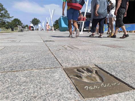 Aleja Gwiazd Międzyzdroje Promenada Gwiazd