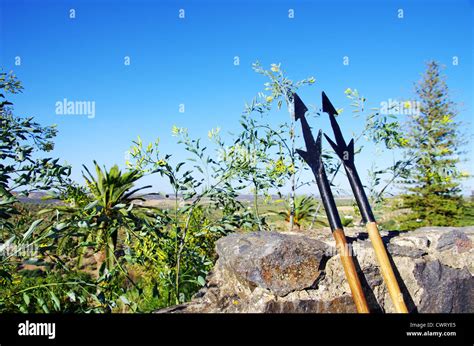 Two Medieval Lances Against The Wall Of The Castle Stock Photo Alamy