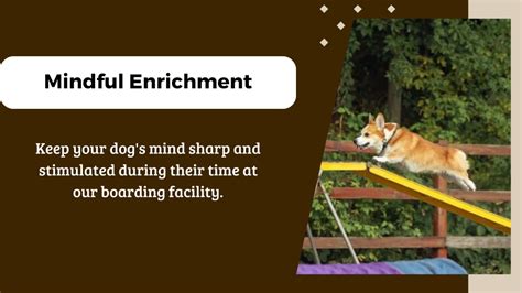 PPT - Fun and Enjoyable Canine Boarding PowerPoint Presentation, free ...