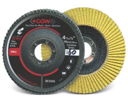 Flap Discs Cgw