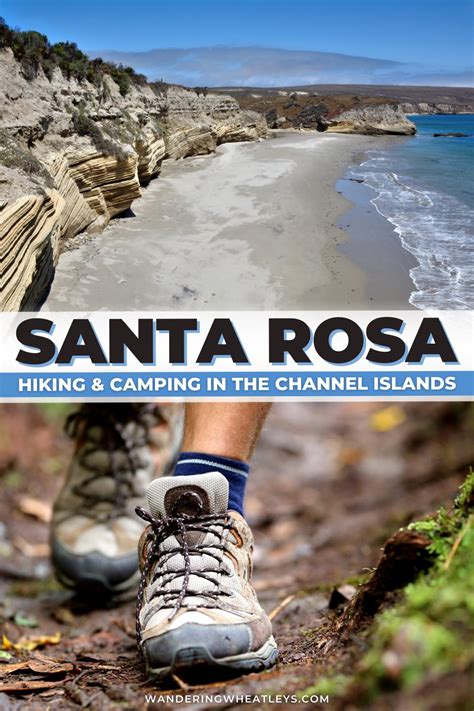 Guide to Hiking and Camping on Santa Rosa, Channel Islands – Wandering Wheatleys