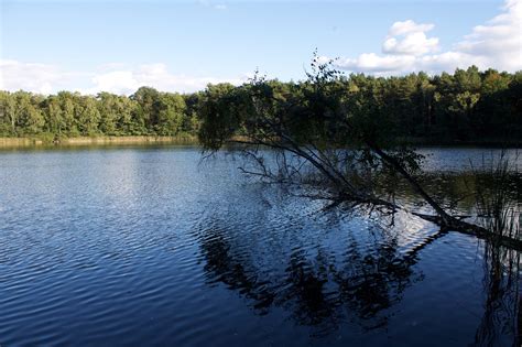 Heidereuter See Erkner Angelsee Seenland Oder Spree Erkner