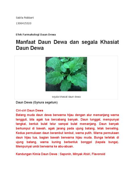 Daun Dewa | PDF