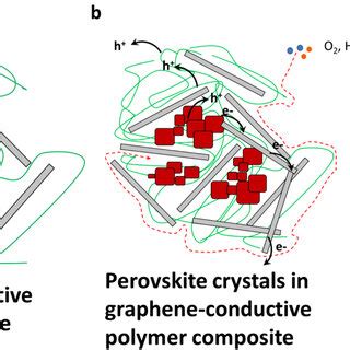 Schematic Illustrating The Role Of Graphene Conductive Polymer