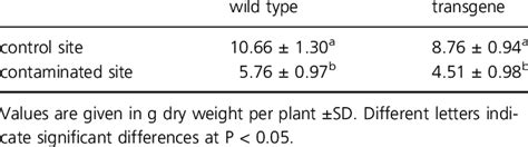 Aboveground Biomass Of Wild Type And Transgenic Poplar Overexpressing