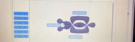 Solved Label The Structure Of Cocla Including Overlapping