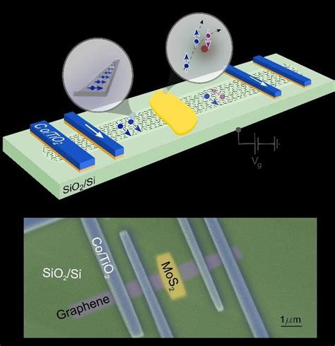 Mos2graphene Van Der Waals Heterostructure Spin Fet A Schematics Of