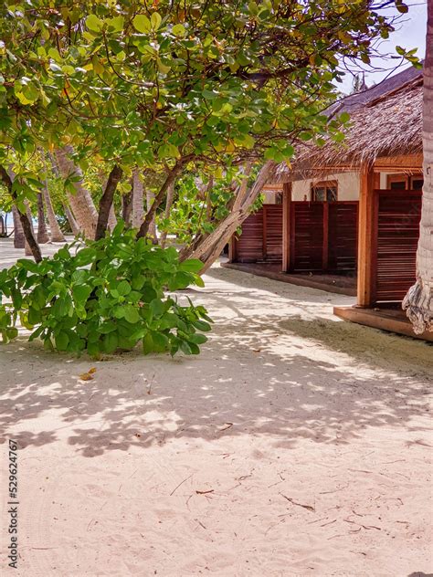 Beautiful bungalow, tourist village in the Maldives Stock Photo | Adobe ...