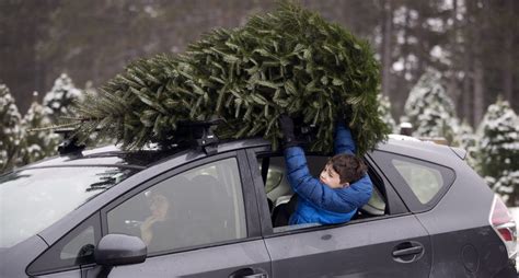 Tes Vous Vraiment Pr T Fixer Un Sapin De No L Sur Le Toit De Votre