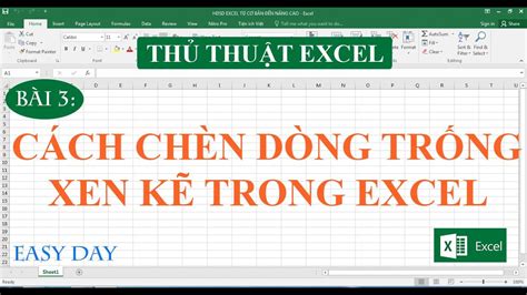 Bài 3 Cách chèn dòng trống xen kẽ trong Excel YouTube