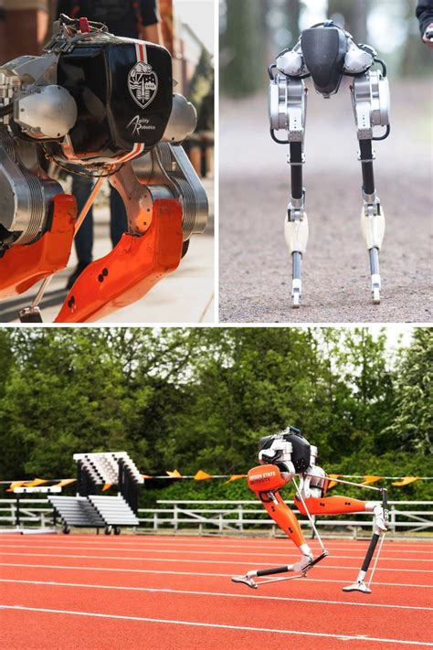 Boston Dynamics Spot Robot Might Have Got Us All Sold With His Agile Moves And Intelligent