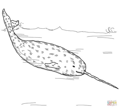 Adding Whimsy and Fun with Fat Narwhal Cliparts