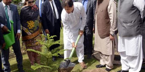 Pm Wants All Pakistanis To Get Ready For Massive Tree Plantation Drive