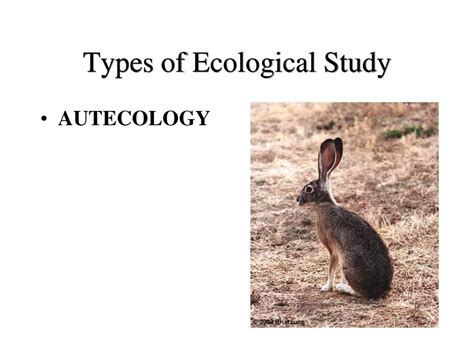 biological disciplines relating  ecological study powerpoint
